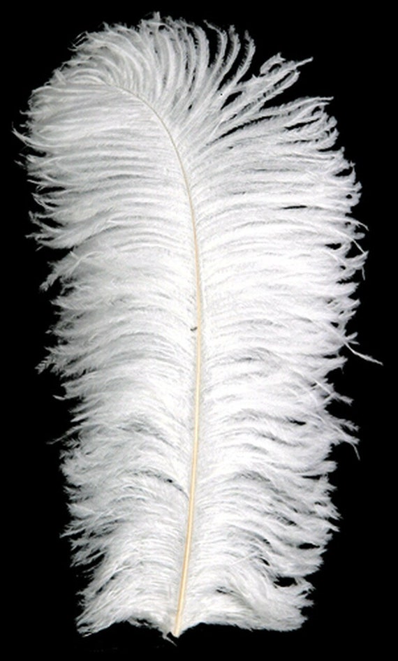 Neon cheap ostrich feathers