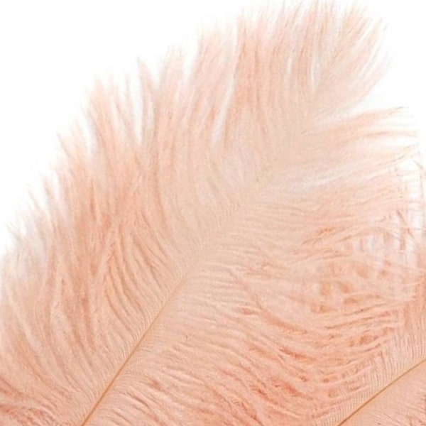 Peach Ostrich Feather Plume 26" & up -  Extra Large Ostrich Feathers Large Feathers for Dressmaking Feathers for Centerpiece and Hairpieces