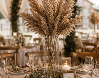Natural Pampas Grass Stems | Bulk Dried Wedding Decor | Boho Wedding Centerpiece & Arch Flowers | 10 20 30 50 100 Stems