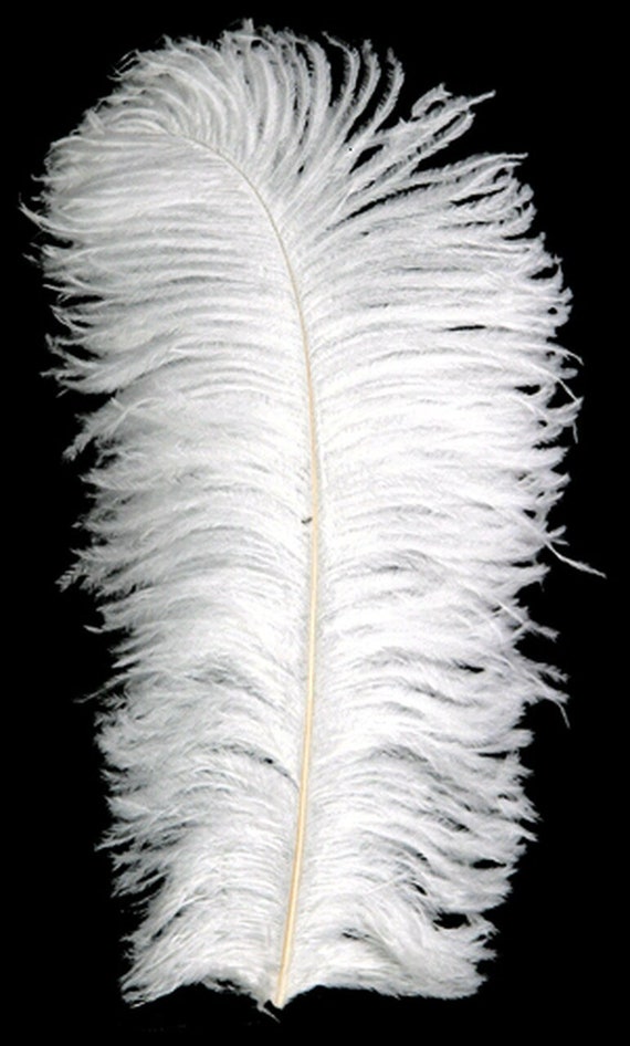 25-26in White Ostrich Plumes/ Feathers