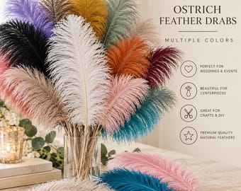 10–12" Ostrich Feather Drabs, Small Ostrich Feathers for Wedding Centerpieces, Crafts & Event Decor, Multiple Colors