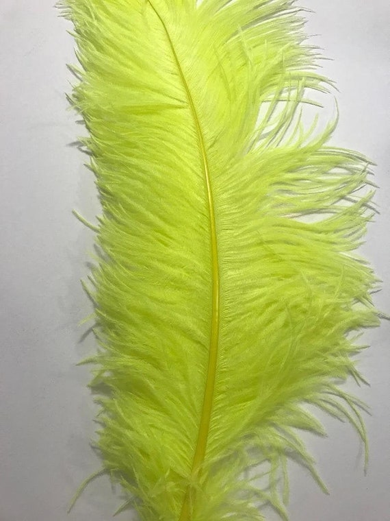 Neon ostrich feathers deals