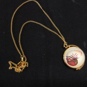 Nautical Turtle / Shell Swivel Bezel Pendant W/ 18k GP Chain Gold Necklace Pendant With 2 Sided Bezel image 5