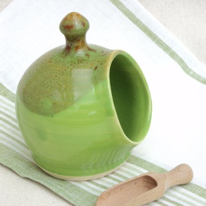 Small Salt Pig in Green with wooden scoop