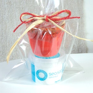 May include: A clear plastic bag with a red and brown ribbon tied around it. Inside the bag is a red ceramic pot and a white container of Cornish Sea Salt Co. sea salt crystals, 75g (2.6oz).