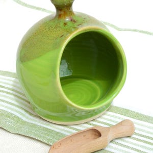 Small Salt Pig in Green with wooden scoop