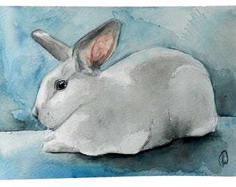 Retratos de mascotas personalizados en acuarela / Retrato de mascota pintado a mano / Pintado a partir de sus fotos / Retrato de gato personalizado / Pintura conmemorativa / Perros