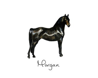 Morgan Horse Print - Watercolour Poster - Horse Breeds