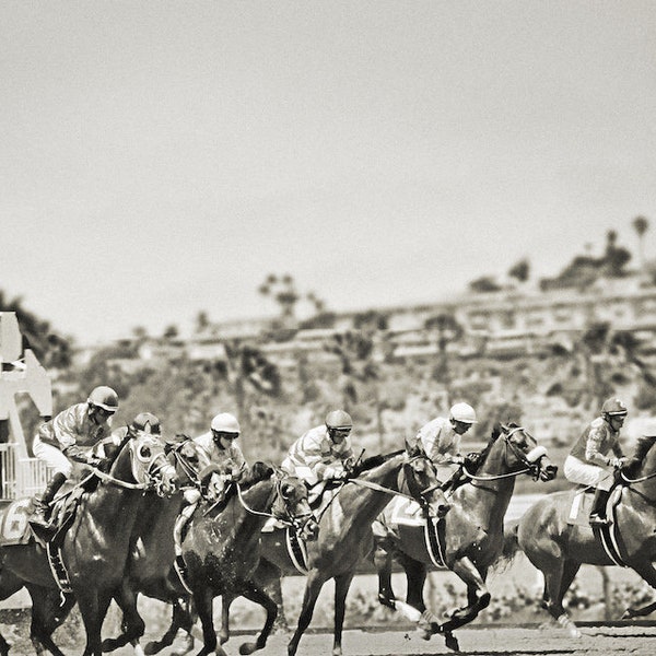 Vintage Horse Racing Photography.  Black and White Photo of Horses at the starting gate.