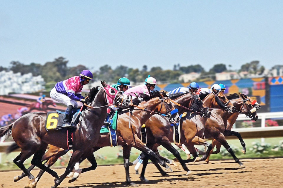 Horse Racing Photography Color Photo Of Horses And Riders At Etsy Horse Racing Photography Color Photo Of Horses And Riders At Etsy