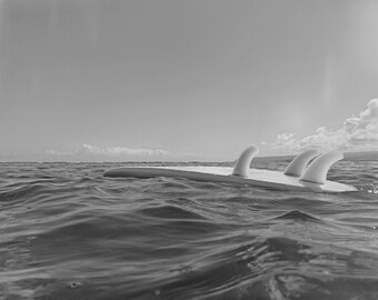 Surfboard Floating on the Ocean Photo Print. Black and White Picture