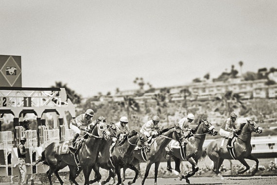 Vintage Horse Racing Photography Black And White Photo Of Etsy Vintage Horse Racing Photography Black And White Photo Of Etsy