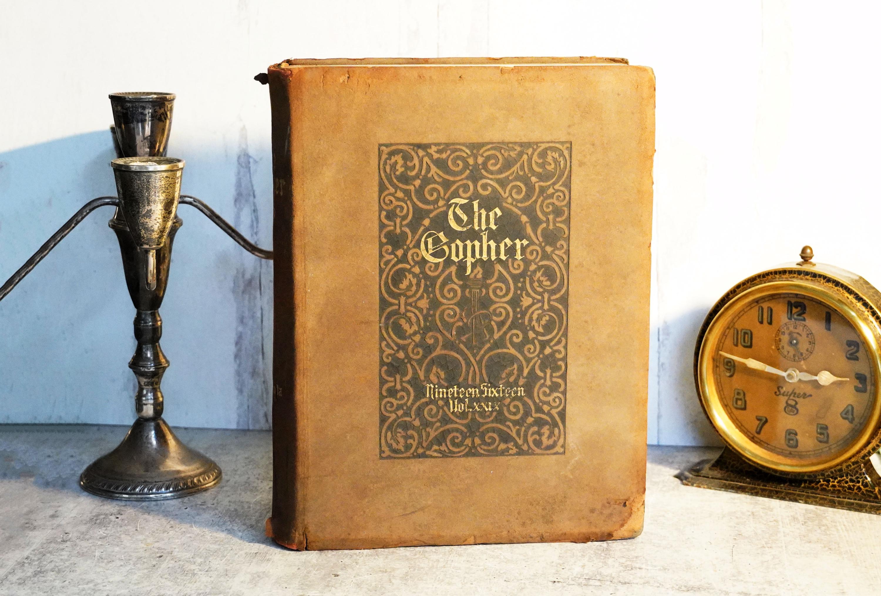 Antique 1916 University of Minnesota Yearbook, The Gopher, Embossed Sueded Leather Hardcover, Art Deco Color Illustrations, College Life