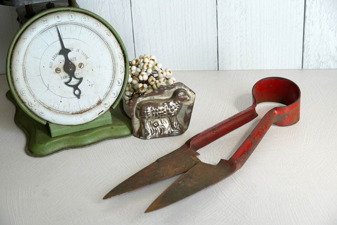 Antique Primitive Cast Iron Sheep Shears, Red Painted Handle, Sharp ...