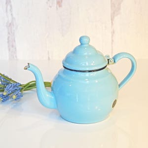 May include: A light blue enamel teapot with a rounded body, curved spout, and a loop handle. The lid has a small knob on top. The teapot has a black trim and a small sticker on the side. A sprig of blue flowers is in the background.
