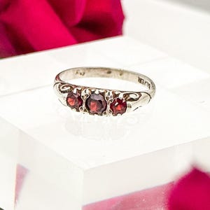 May include: A silver ring featuring three red gemstones. The ring is set on a clear block, with a backdrop of red roses and green leaves. The gemstones are a deep, rich red.