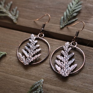 Cedar Hoop Earrings, Real Plant Jewelry