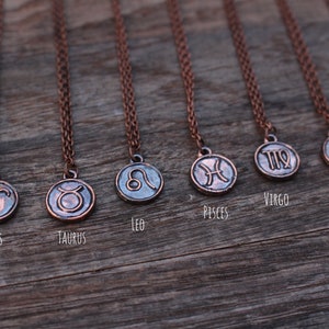 Zodiac Sign Necklace, Horoscope Jewelry, Capricorn Necklace, Pisces Necklace, Aquarius Pendant image 1