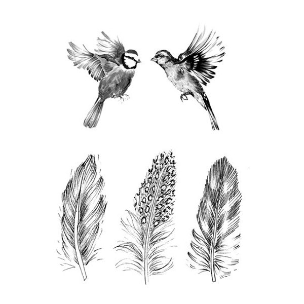 Feather and Bird Tattoos