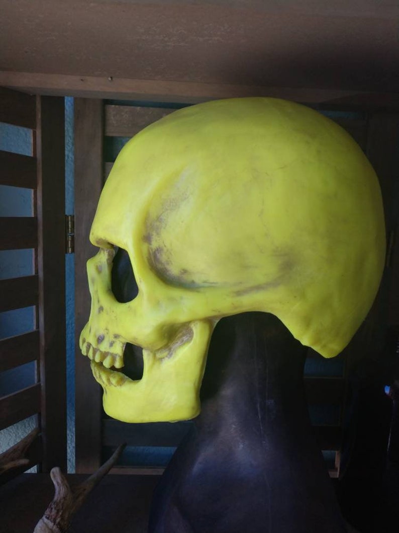 glow skeletor