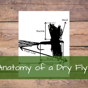 Anatomy of a dry fly Wall Art Decor Man Cave
