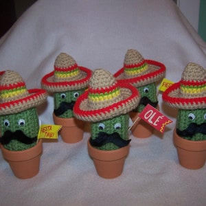 Carl the Cactus Happy Face AMIGURUMI Crochet,  Cinco de Mayo, housewarming gift, cactus lovers gift, etc