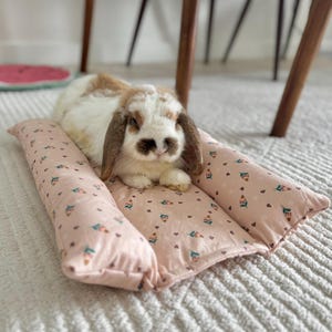 Lit à bascule pour lapins, chats et autres petits animaux de compagnie | Lit douillet | Coussin câlin