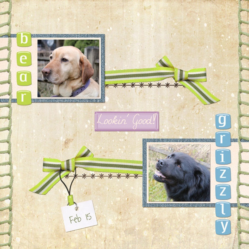 May include: A scrapbook page with two photos of dogs. The top photo is of a yellow Labrador Retriever with the word "bear" in green letters. The bottom photo is of a black dog with the word "grizzly" in blue letters. The page has a green and white striped ribbon with a bow and the words "Lookin' Good!" in purple letters.