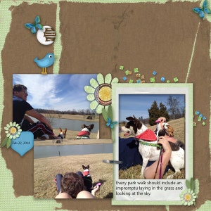 Op de afbeelding: Een collage van foto's met een groep mensen en honden die genieten van een zonnige dag in het park. De tekst "Feb 22, 2014" en "Every park walk should include an impromptu laying in the grass and looking at the sky." zijn opgenomen in de collage.