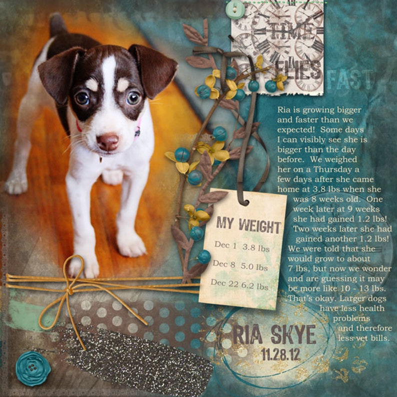 May include: A brown and white puppy with black spots stands on a brown and orange floor. The puppy is looking at the camera. A brown and white tag with the text "MY WEIGHT" and a list of dates and weights is hanging from a branch with blue berries. The text "RIA SKYE 11.28.12" is in a circle on the bottom right of the image.