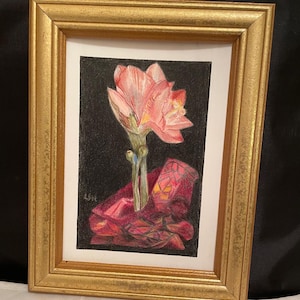 5x7 Original Colored Pencil Drawing of Amaryllis