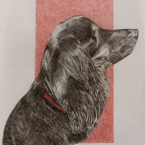 CUSTOM Pet Portrait, Animal Portrait, Pencil Drawing, Colored Pencil Drawing, Pastel Drawing, Charcoal Drawing