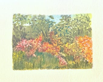 3 x4 Mini Art Paesaggio ad acquerello, fiori selvatici estivi