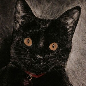 CUSTOM Pet Portrait, Animal Portrait 5x7, 8x10, Charcoal Portrait, Graphite Pencil Drawing, Colored Pencil Drawing, Pastel Pet Portrait