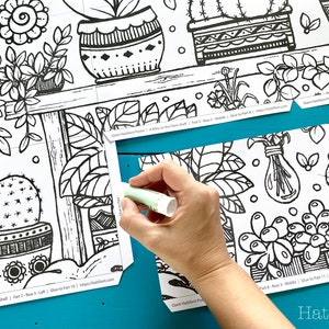 RIESEN Poster Bundle | 'Ein Kätzchen im Pflanzenregal'