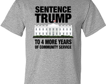 Sentence Trump