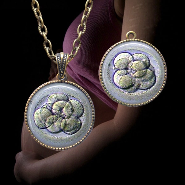 IVF Pendant - Blastocyst Necklace - Embryo Keepsake - In Vitro Fertilization - Embaby - Custom IVF Jewelry - Best Seller