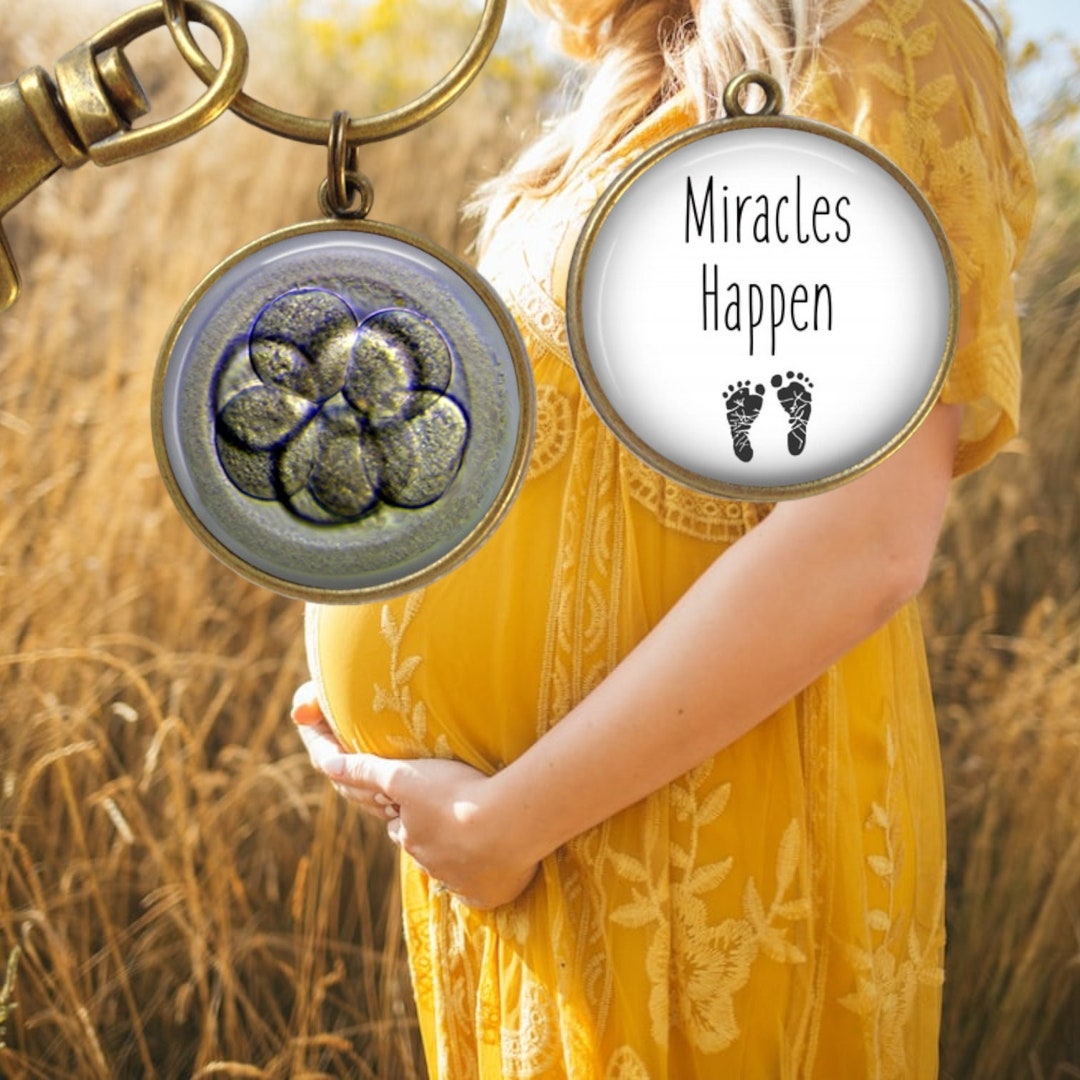 TTC Keychain - Father to Be Gift - Embryo Keepsake - in Vitro ...