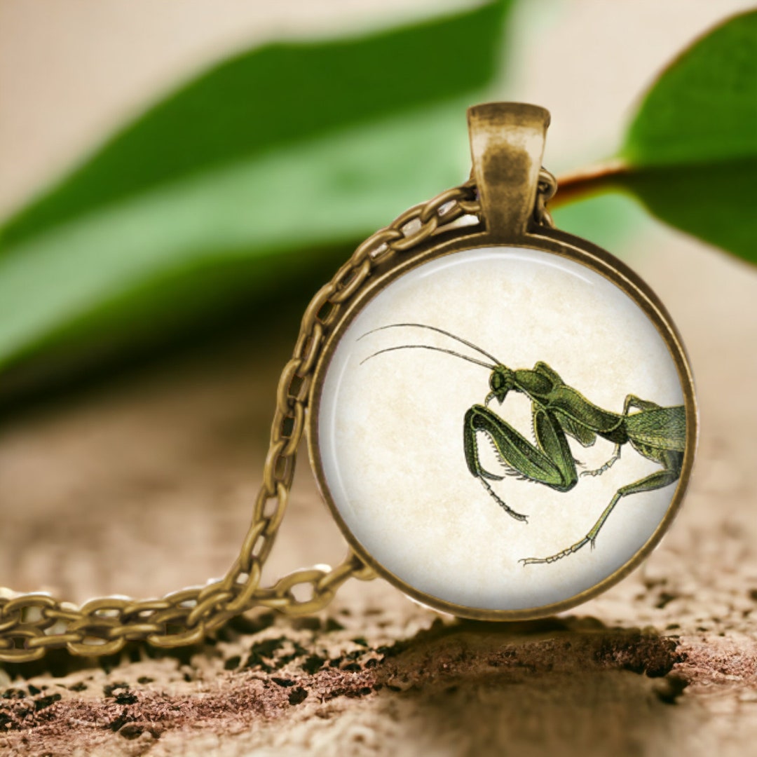 PRAYING MANTIS Pendant Necklace Gardener Gift Insect Lover Gifts