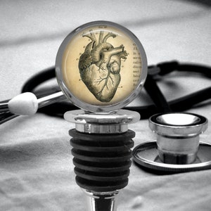 Human Heart WINE STOPPER - Medical Dictionary - Anatomical Wine Stopper - Physician Gift - Heart Doctor - LPN Gift - Cardiologist Gift