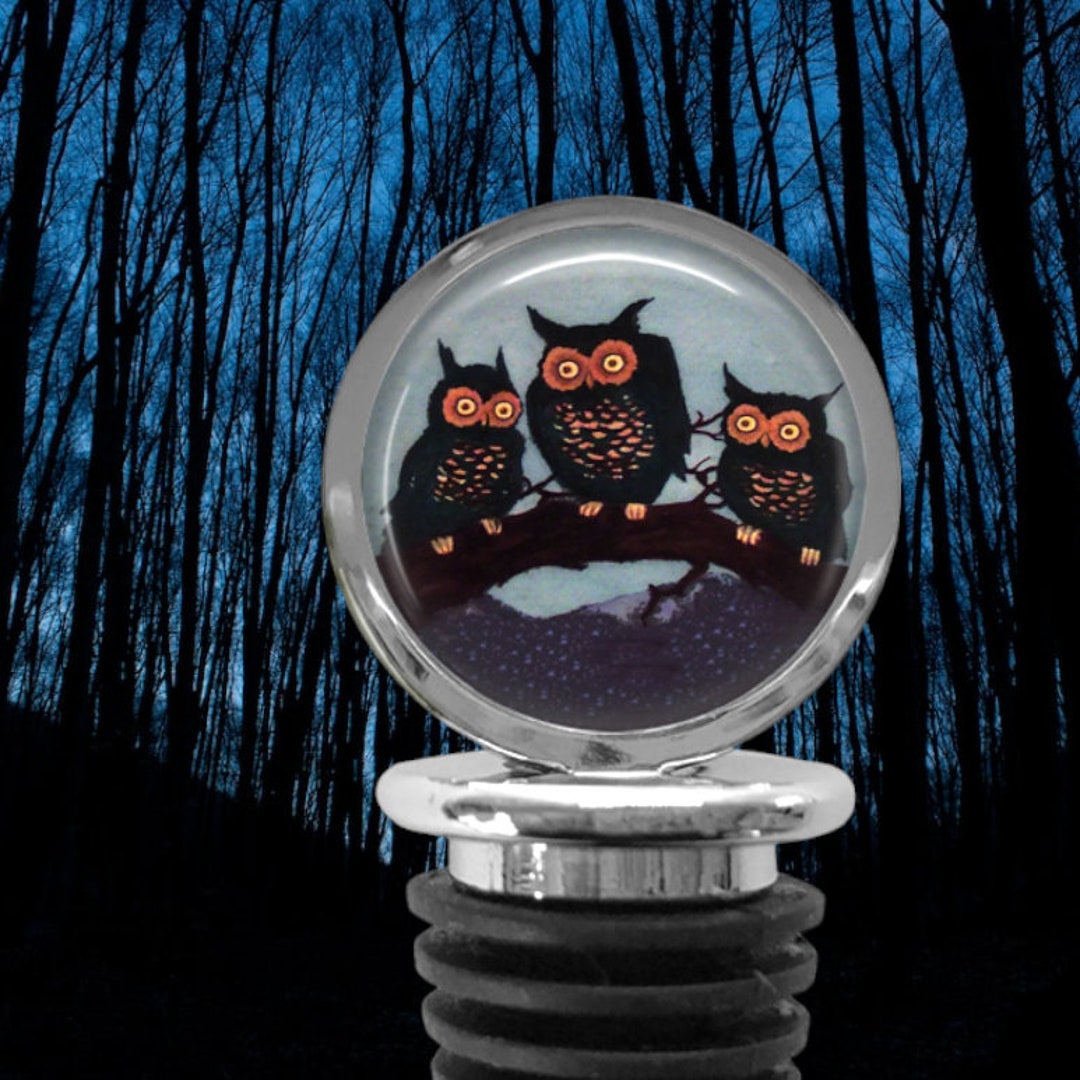 Owls WINE STOPPER Bird Lover Gift Owl Lover Gifts Owl Bottle Cork