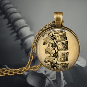 Spine Backbone Chiropractic - Medical Jewelry - Anatomical Jewelry - Human Spine Illustration - Massage Therapist - Gift for Chiropractor