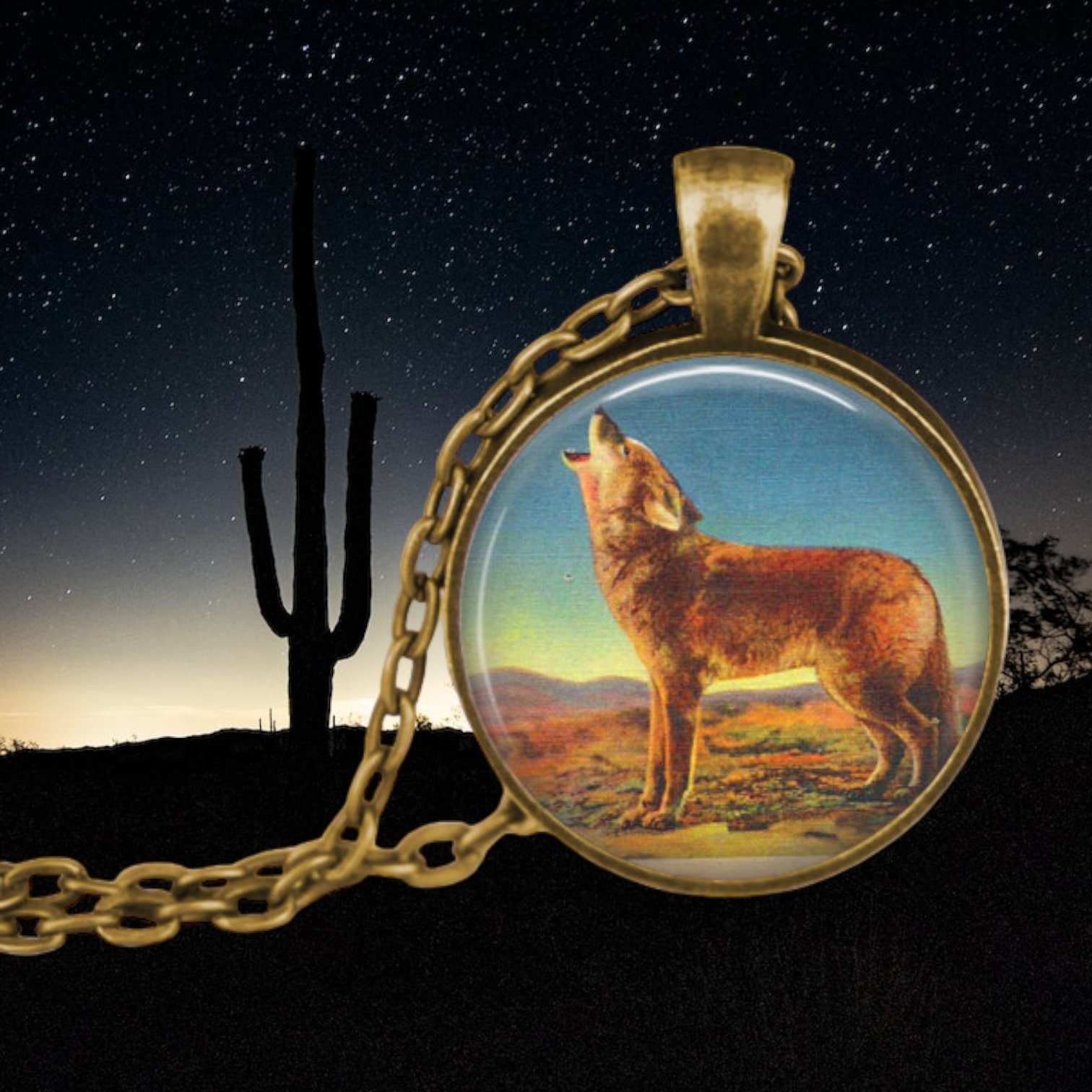 Coyote Howling in Arizona Desert Stock Photo