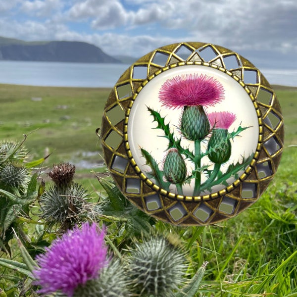 Scottish Thistle Brooch Pin - Kilt Pin - Purple Scotch Thistle - Clan Jewelry - Scotland Flower - Scottish Heritage - Highlands Brooch