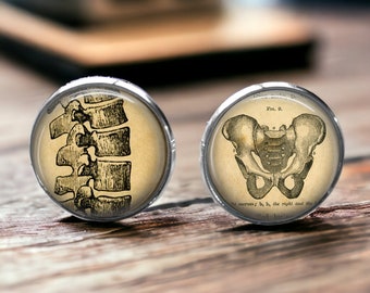 Vintage Human Anatomy Cufflinks - The Spine - Gifts for Him - Gift for Chiropractor or Spinal Surgeon - Bone Doctor - Chropractic Present