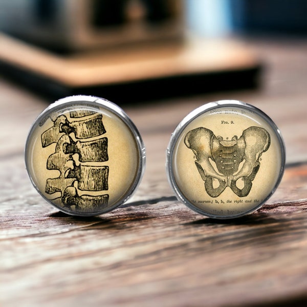 Vintage Human Anatomy Cufflinks - The Spine - Gifts for Him - Gift for Chiropractor or Spinal Surgeon - Bone Doctor - Chropractic Present