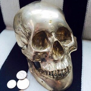 Vintage Lifesize Metal Halloween Skulls in Choice of Brass-Tone , Silver-Tone, or Antiqued Real Silver Finishes. image 4