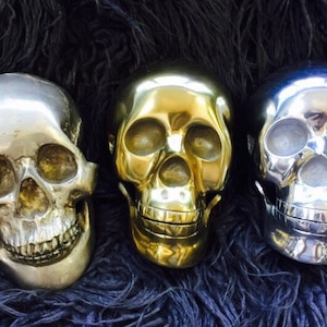 Vintage Lifesize Metal Halloween Skulls in Choice of Brass-Tone , Silver-Tone, or Antiqued Real Silver Finishes. image 1