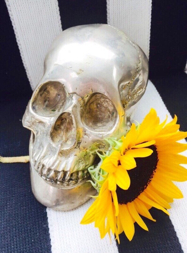 Vintage Lifesize Metal Halloween Skulls in Choice of Brass-Tone , Silver-Tone, or Antiqued Real Silver Finishes. image 2