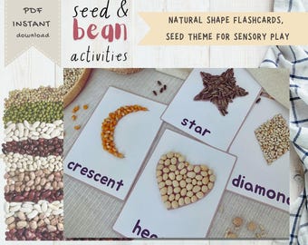 Tarjetas didácticas de piezas sueltas naturales y formas / Juego sensorial con semillas y frijoles (descarga digital)